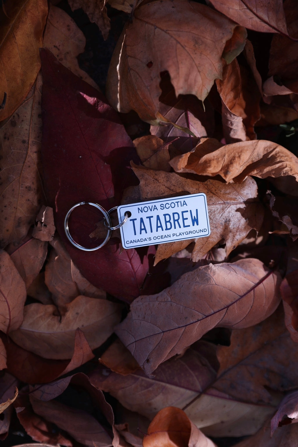 Mini License Plate Key Chain